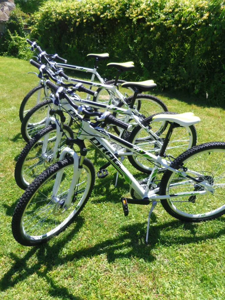 Bicycling