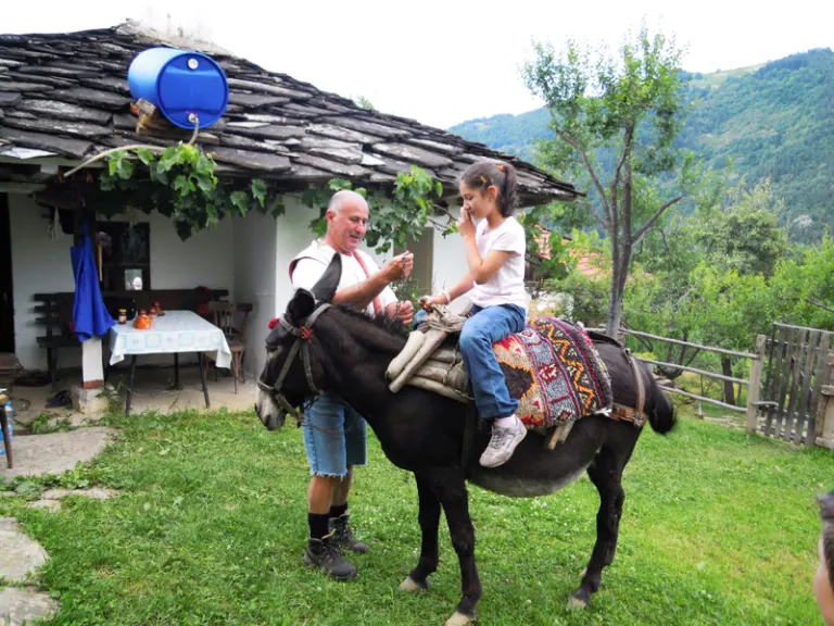 Mushanka donkey in SLAVI guest house